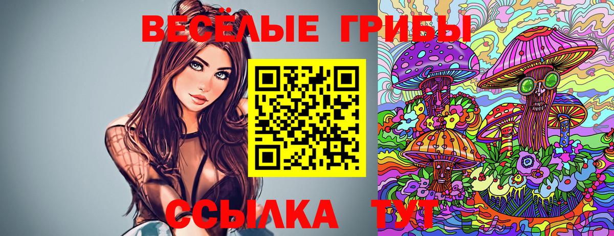Чапаевск  Галлюциногенные грибы Psilocybine cubensis  Галлюциногенные грибы MAGIC MUSHROOMS  продажа наркотиков  Вход с VPN 